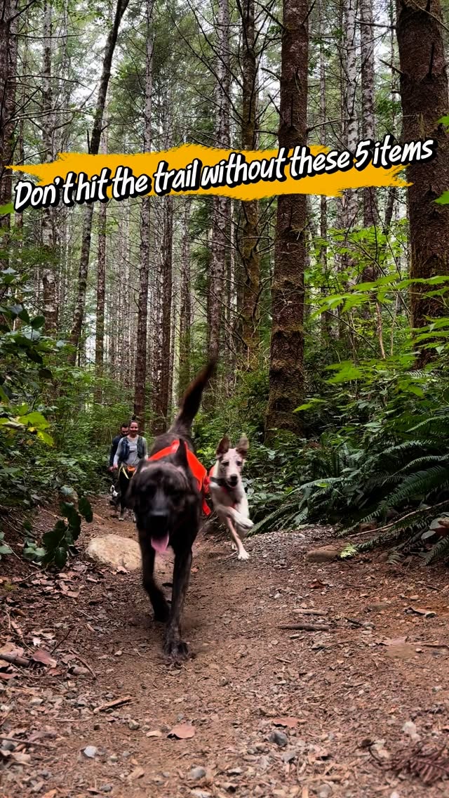 Instagram post by @west_coast_heeler_pack for Ruffwear. Caption reads: 🍂 Ready for fall hiking adventures with your dog?....