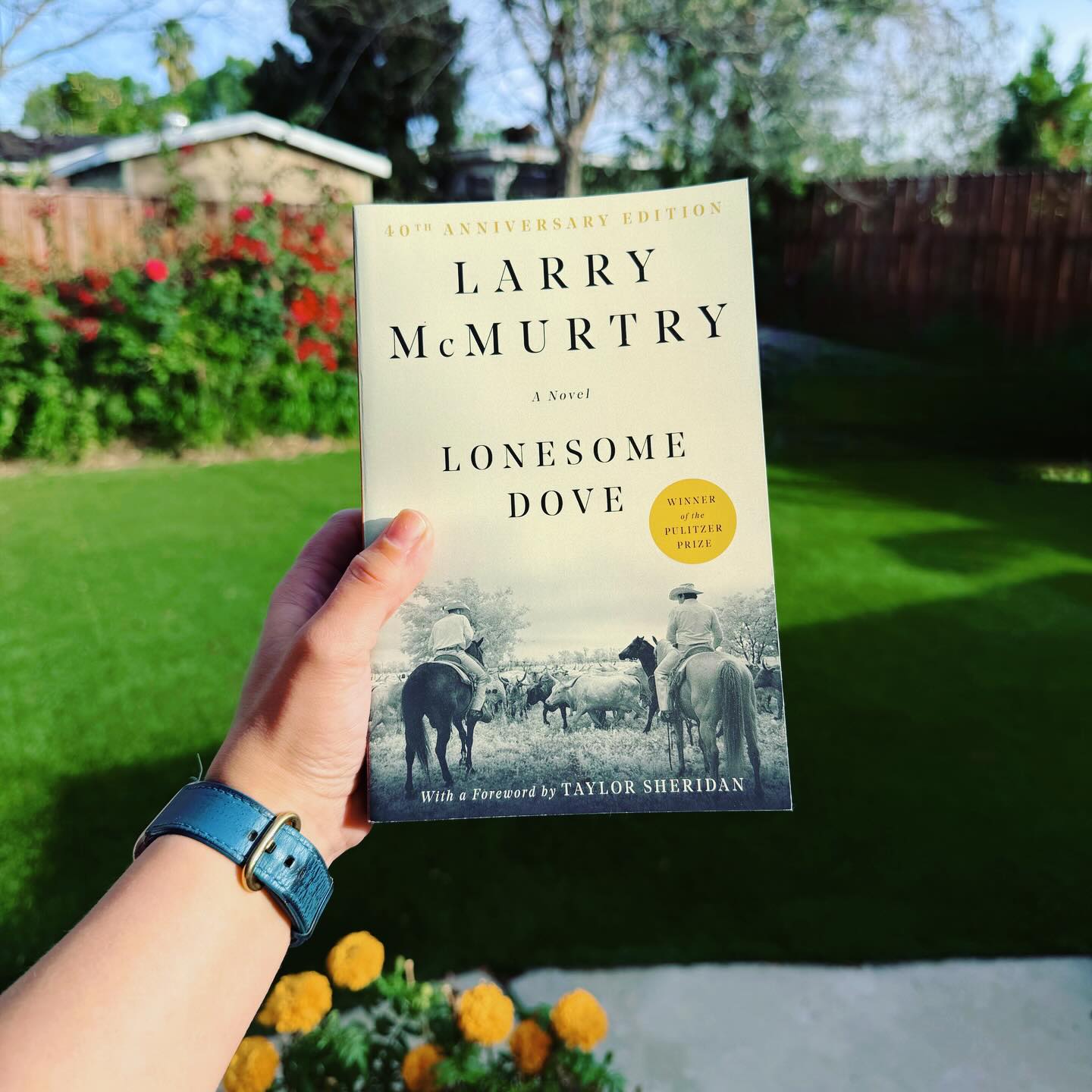 Instagram post by @rumi.nations for Simon & Schuster. Caption reads: I just received LONESOME DOVE by Larry McMurtry....