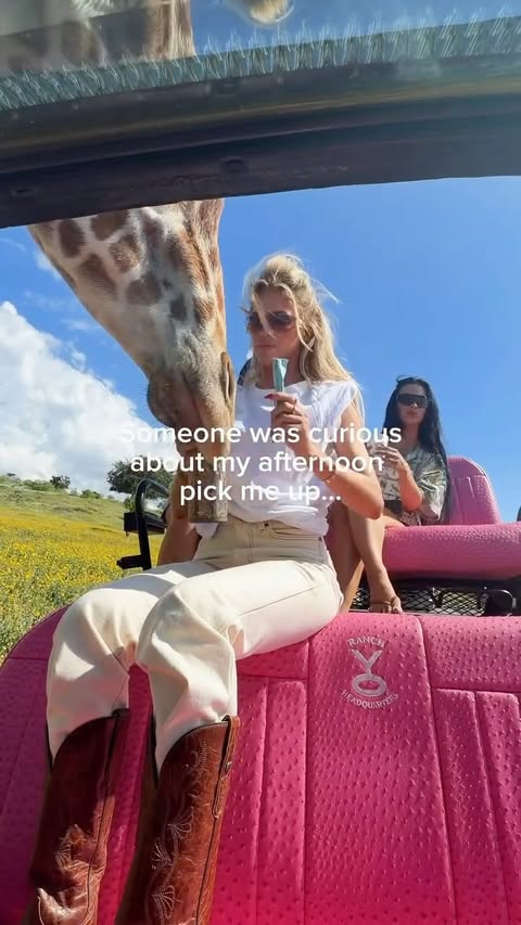 Instagram post by @allie_eklund for Bloom Nutrition. Caption reads: Just another day at the ranch 🤠 @bloomsupps....