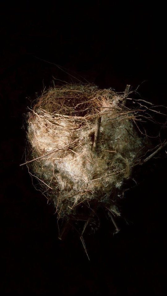 Instagram post by @ohkimora for TrovaTrip. Caption reads: [...] me.. and now it’s come true 🫶 With....