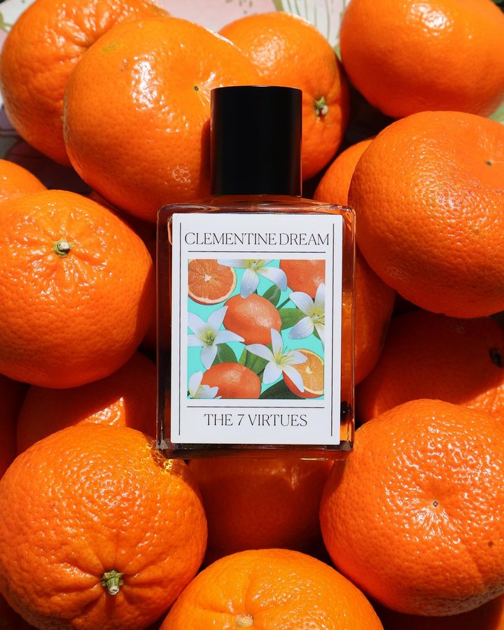 Instagram post by @thatfrenchislandgirl for The 7 Virtues. Caption reads: [...] my darling, Clementine! 🍊

@the7virtues’....