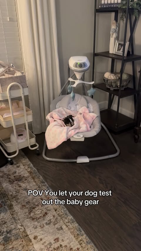 Instagram post by @shelby_salmela for Graco. Caption reads: [...] a monster, she’s obsessed with the baby....