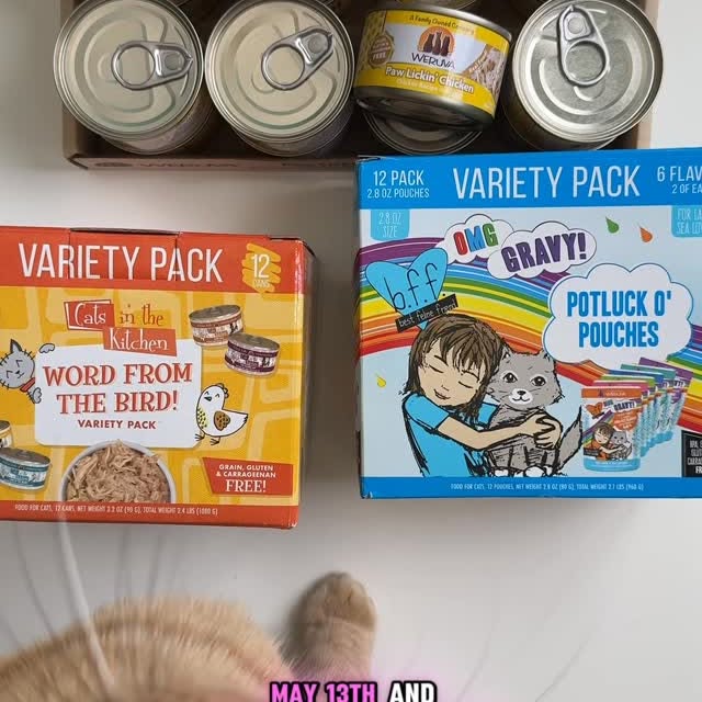 Instagram post by @missfeministkitty for Weruva. Caption reads: Starting tomorrow! Which Weruva deal are you going....