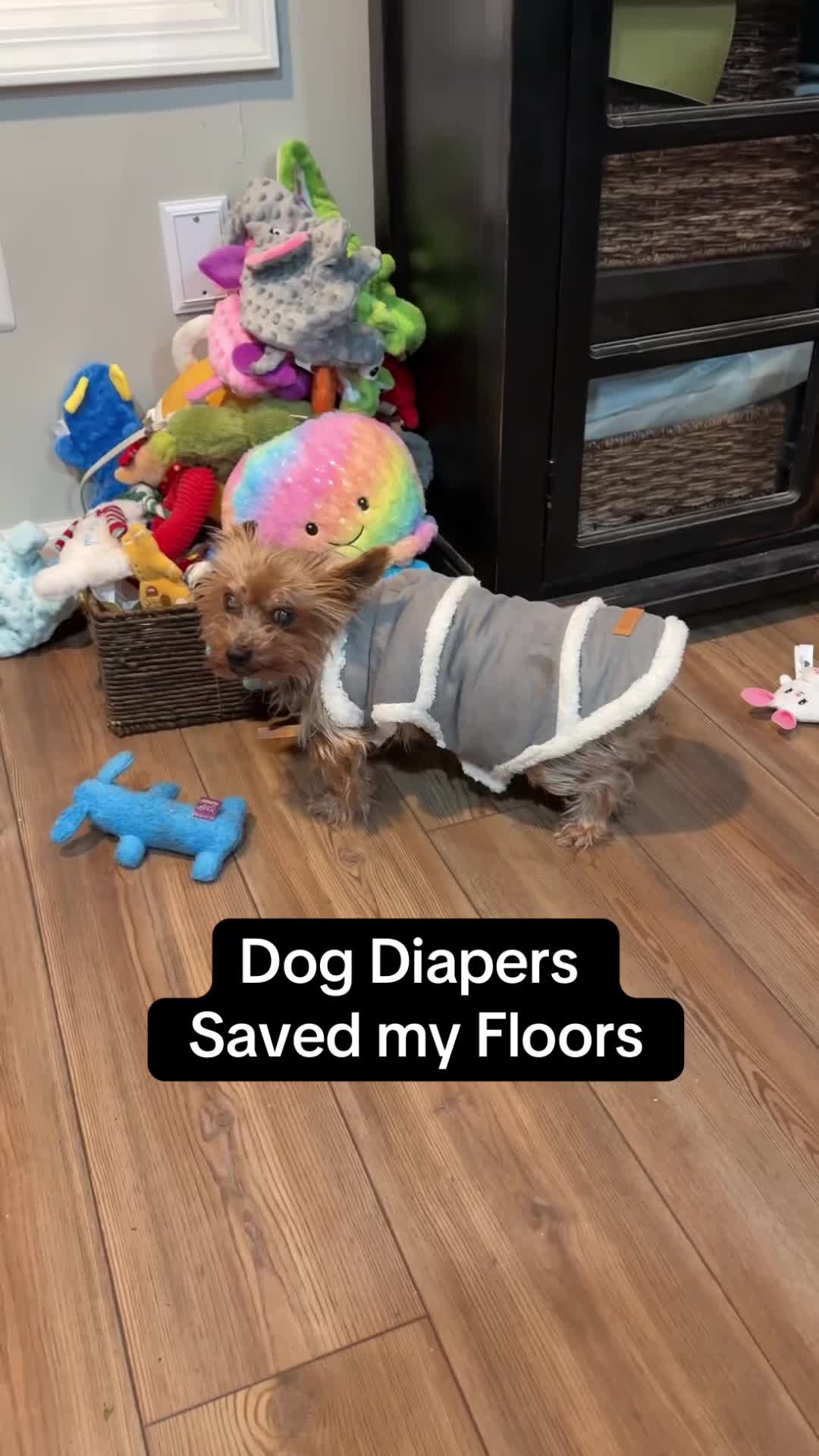 TikTok post by @kristas.kreations for HoneyCarePet. Caption reads: Instead of getting mad or letting dog pee ruin....