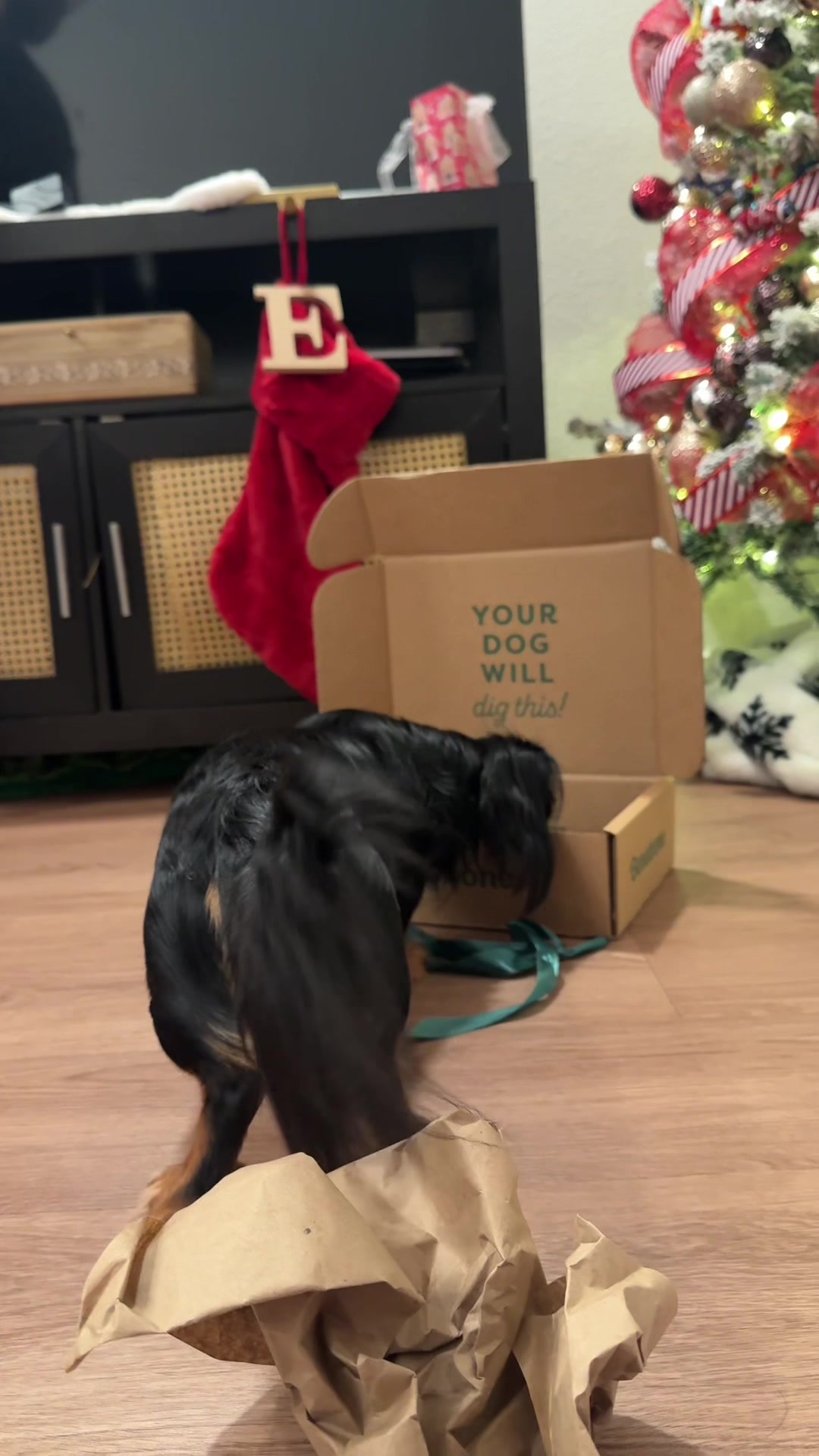 TikTok post by @vanessmadrigal for Benebone. Caption reads: [...] safe to say your dog will love this 🤣....