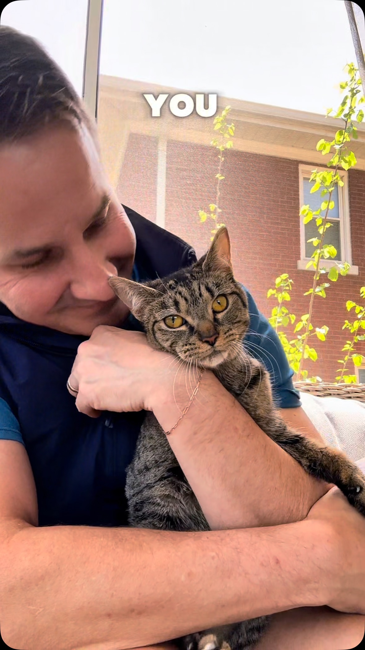 Instagram post by @dr.mattmcglasson for Fera Pets. Caption reads: Fera’s Feline Wellness Blend is designed to meet....