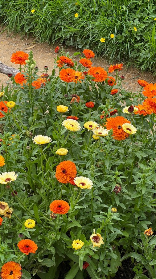 Instagram post by @georgewnield for Contiki. Caption reads: An unforgettable trip to NZ with @contiki don’t....