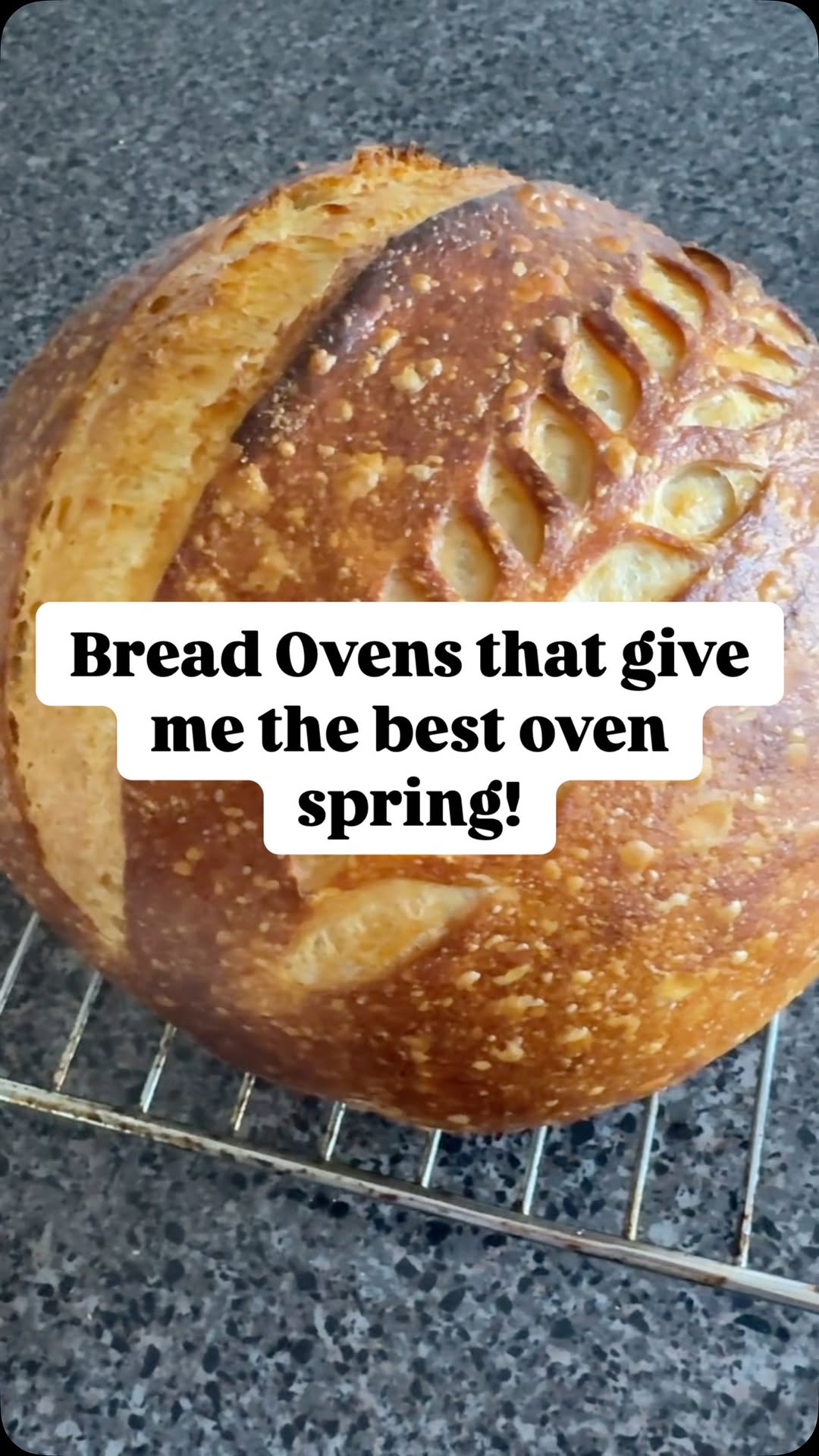 Instagram post by @lindsaysbread for Krustic. Caption reads: Lil Krustic appreciation post because that oven....