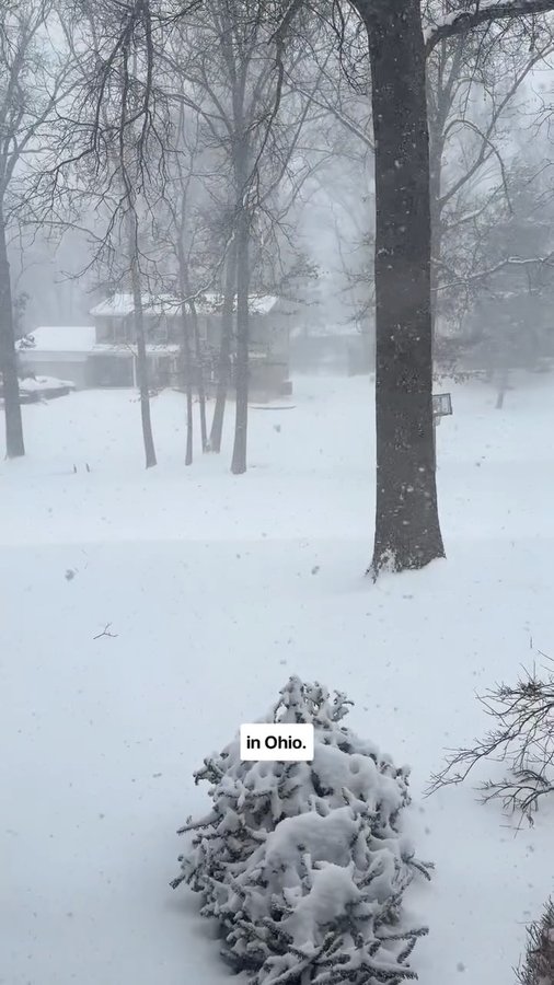 Instagram post by @homegrown_education for Ancestral Supplements. Caption reads: [...] quality beef organs. Been loving....