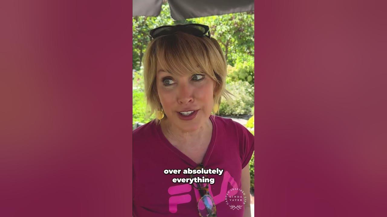 YouTube post by @LindaVater for Zazzle. Caption reads: Grandbaby's Arrival! Schedule Changes & Exciting....