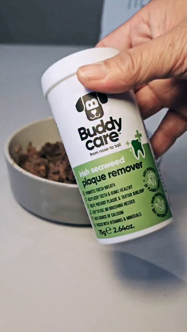 Instagram post by @cooper_miniwoofie for Buddycare Grooming. Caption reads: 💚 Fresh kisses unlocked! 🐾💚
✨ Tried one week of....