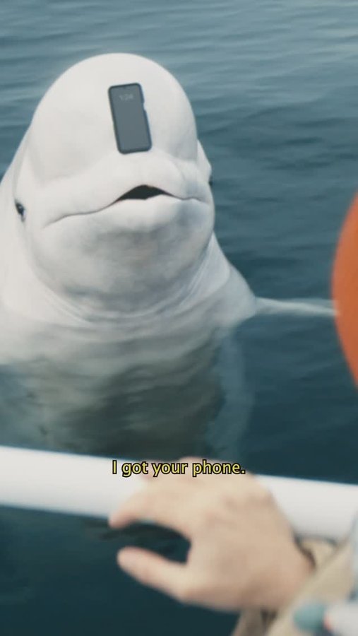 Instagram post by @josiahschneider for NerdWallet. Caption reads: #NerdWalletPartner Did that whale sound [...].