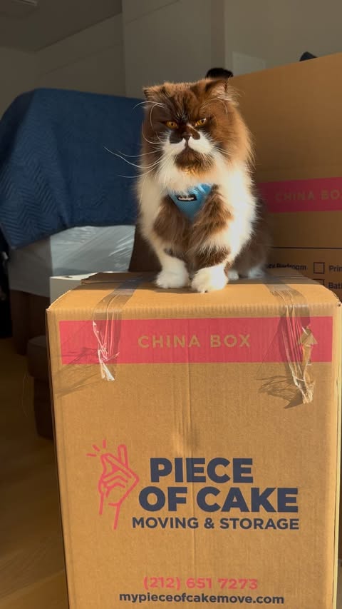 Instagram post by @big.al.fred for Piece of Cake Moving & Storage®. Caption reads: Boston ➡️ NYC!🗽🍎🏙️ Thank you @pieceofcakemoving....