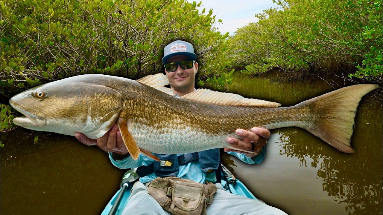 YouTube post by @ChaCha_Fishing for 6th Sense Fishing. Caption reads: BIG Redfish & Trout Found DEEP in the Florida....