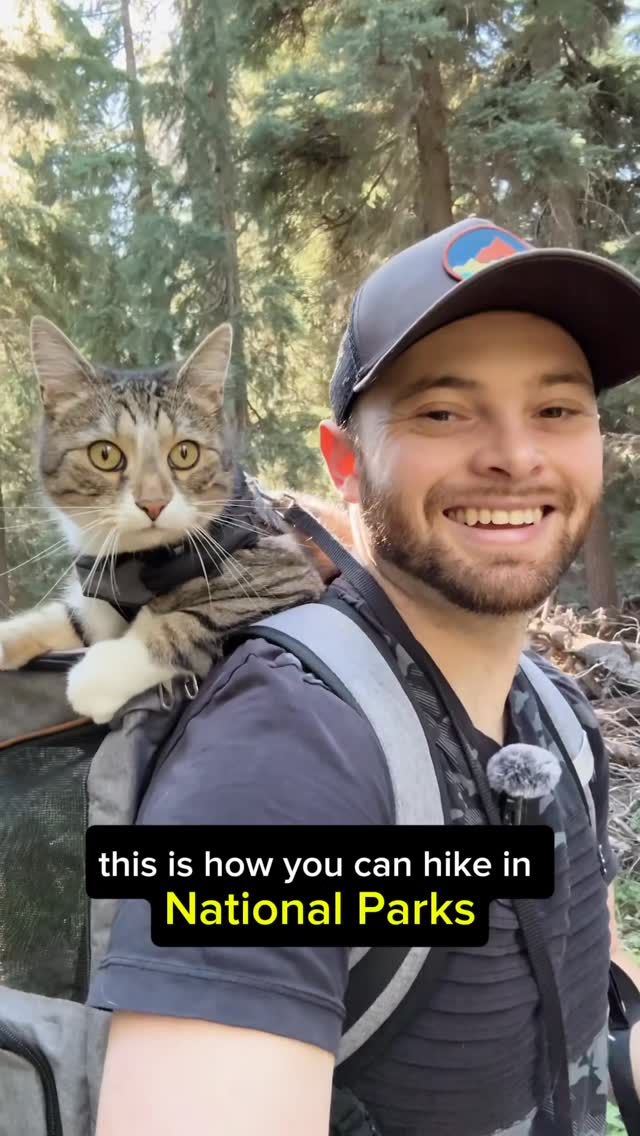 Instagram post by @kodiakthetravelcat for ORIJEN Petfoods. Caption reads: Kodiak and I got to check out Crater Lake National....