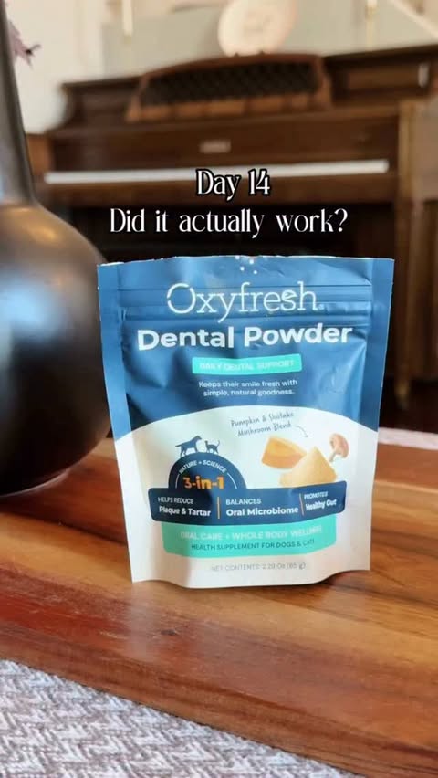 Instagram post by @i.amteddythedoodle for Oxyfresh. Caption reads: [...] every day. I just add one scoop of Oxyfresh....