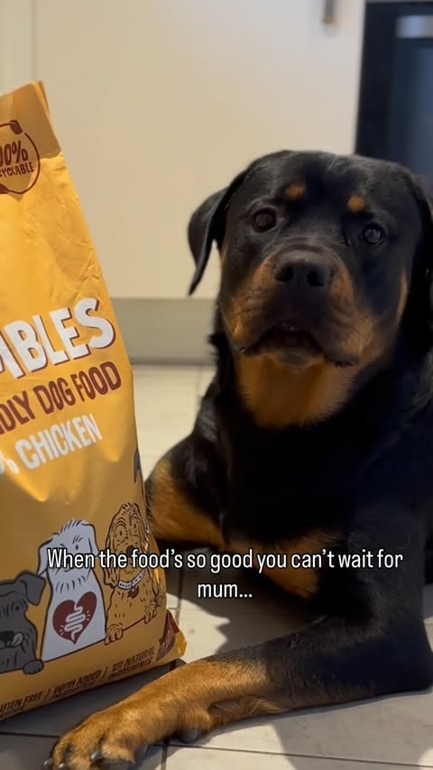 Instagram post by @roxy.rottweilerx for Scrumbles. Caption reads: When the food’s so good you can’t wait for mum....