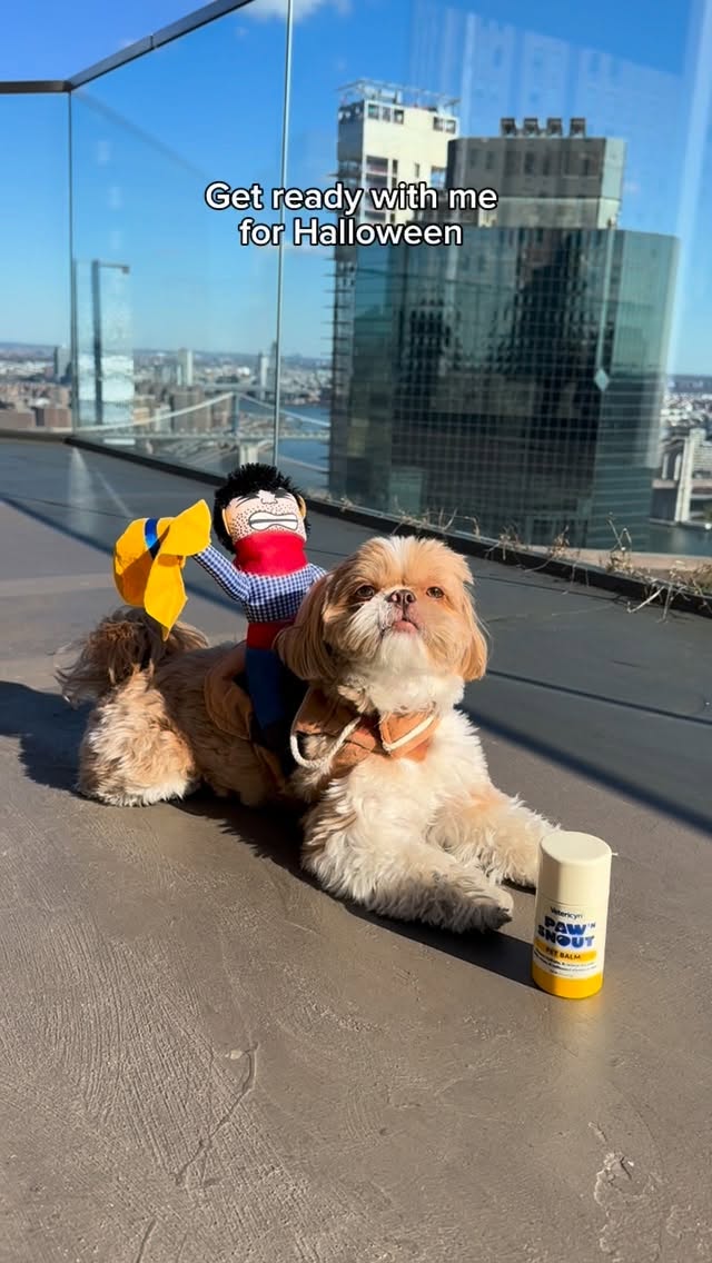 Instagram post by @enzoistheshiht for Vetericyn. Caption reads: Happy Halloween and YEEHAWWW from Enzy!....