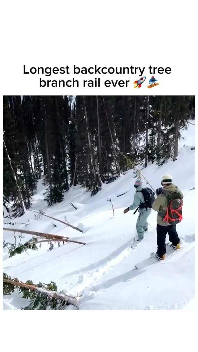 Instagram post by @snowboardinguniverse for Nitro Snowboards. Caption reads: Spotting this in the wild is crazy 🔥🏂🚀....