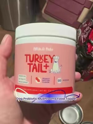 TikTok post by @nhatala0510 for Fifth & Fido. Caption reads: [...] #healthydog #dogslife #dogprobiotics @Fifth....