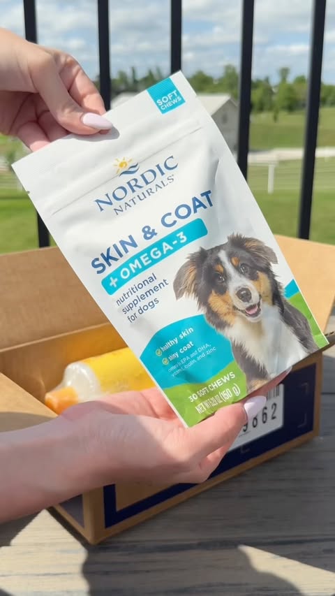 Instagram post by @maverickthedobe_ for Chewy. Caption reads: New skincare routine courtesy of @chewy....