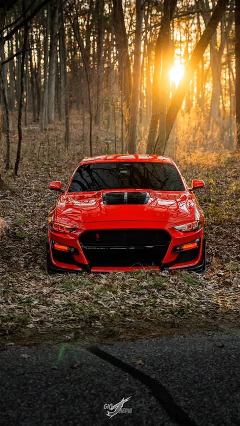 Instagram post by @slw50h for Kustom Interior. Caption reads: Sunset 🌅 ⭐️ Sponsors: ⭐️ @Extremeonlinestore....