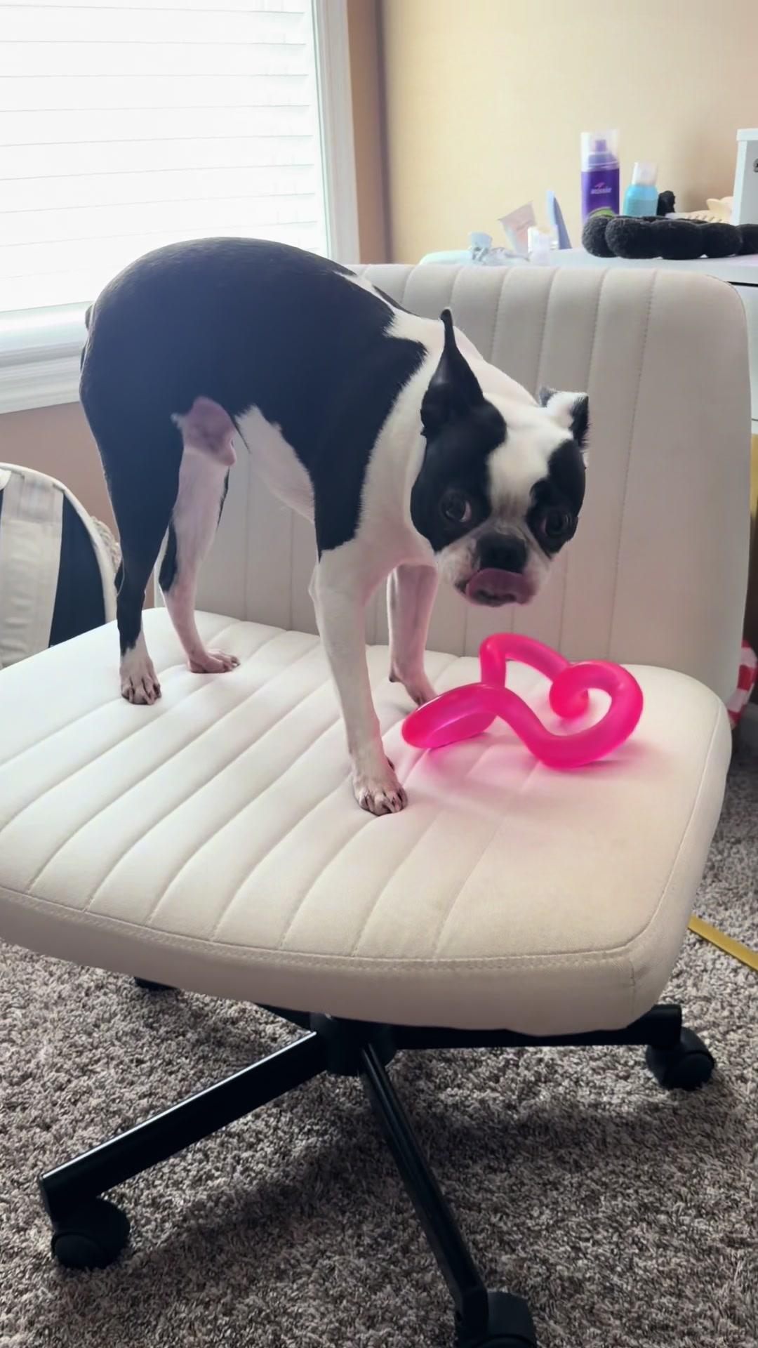 TikTok post by @jessica_young24 for Sweet Furniture. Caption reads: [...] for vanity or desk is loved by all @Sweet....