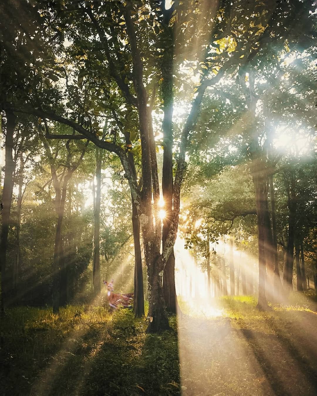Instagram post by @rids_goes_places for Passion Passport. Caption reads: For what nature enriches us with, is a lot more....
