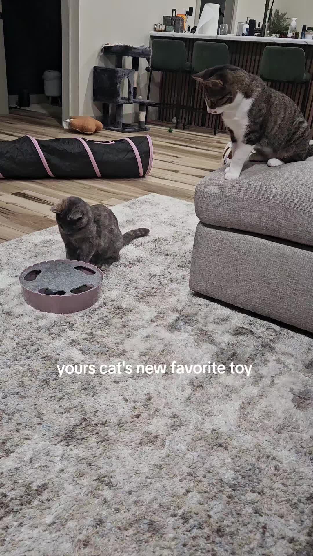 TikTok post by @cali_jn for Pawaboo. Caption reads: [...] mouse toy since I unboxed it 🥹....