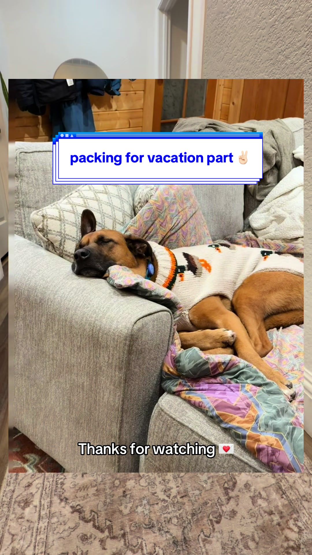 TikTok post by @thebentobabies for Vital Essentials. Caption reads: [...] Products mentioned: @ziwipetsusa @Vital....