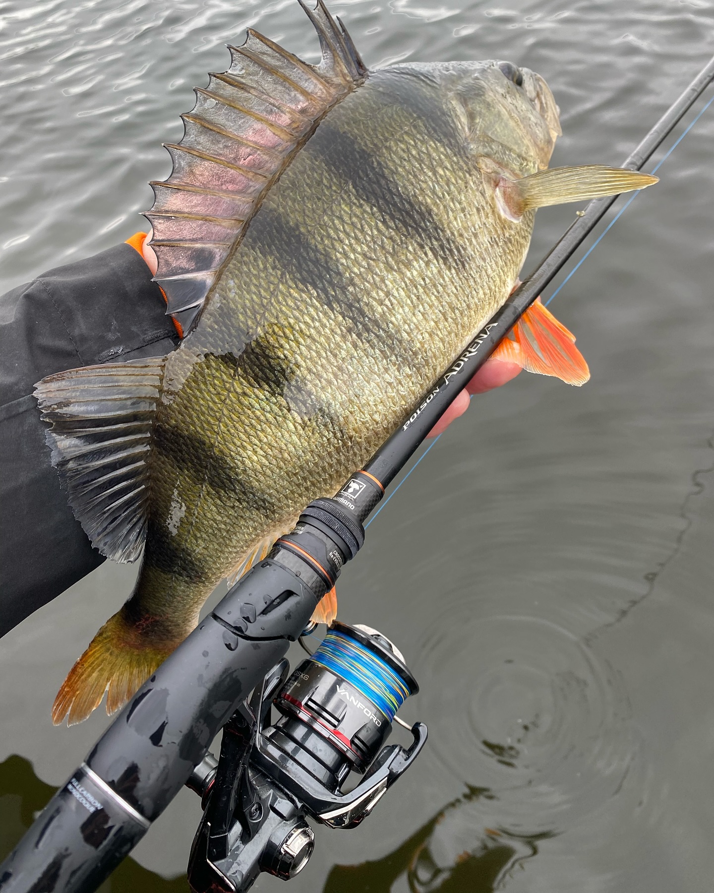 Instagram post by @shimano_predator for ShimanoFishing Japan. Caption reads: Poison Adrena 2610ML-Solid tip /Vanford FA....