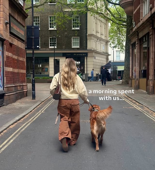 Instagram post by @lemonsandlucy for Purina. Caption reads: [...] Alex takes on London🥹!! We visited the....