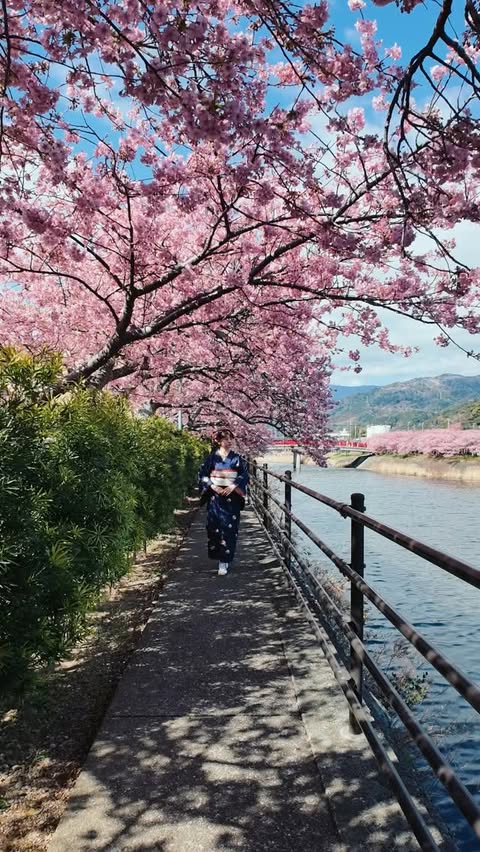 Instagram post by @hakuchuu1882 for Hasselblad. Caption reads: [...] ・ 桜シーズン到来🌸 ・ @hasselblad.japan @hasselblad....