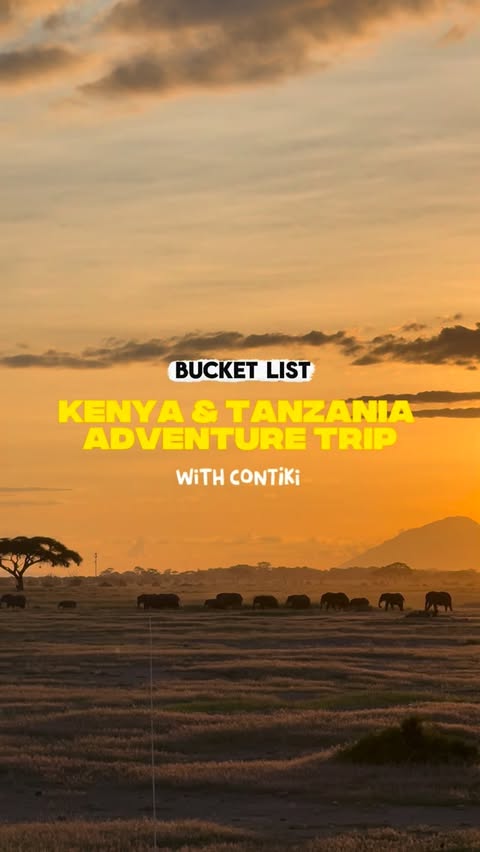 Instagram post by @berniemor for Contiki. Caption reads: [...] booking this bucket list trip with @contiki....