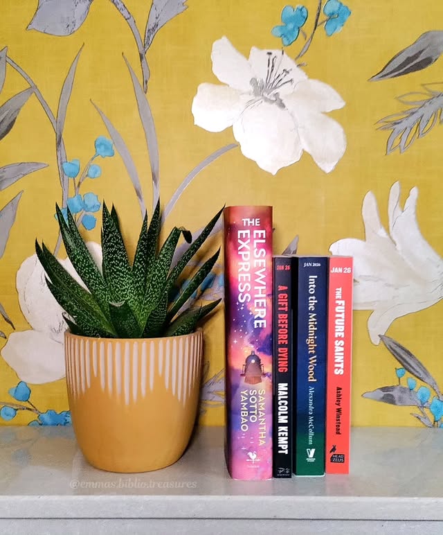 Instagram post by @emmas.biblio.treasures for Viking Books. Caption reads: ✨𝑷𝒖𝒃𝒍𝒊𝒄𝒂𝒕𝒊𝒐𝒏 𝑫𝒂𝒚✨ Happy Thursday....