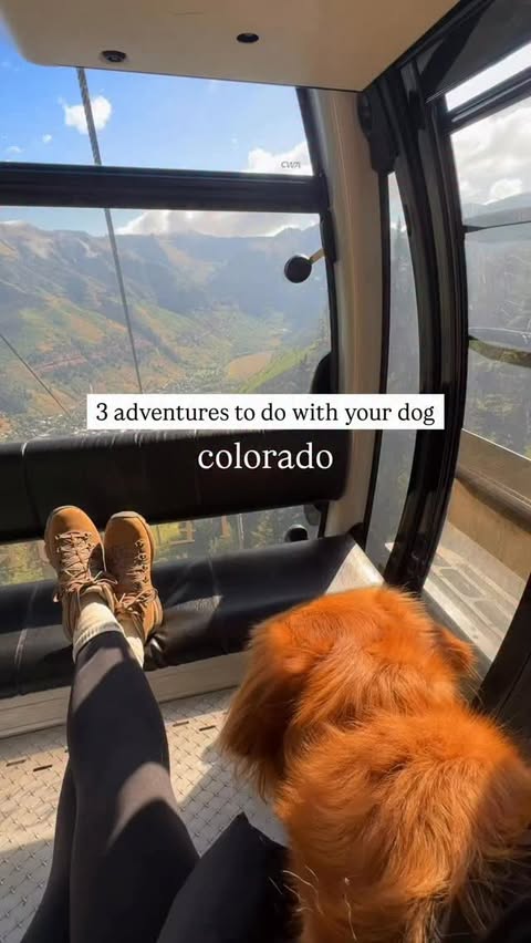 Instagram post by @denverdogguide for ORIJEN Petfoods. Caption reads: Colorado dogs need fuel that can keep up 💪🏼....