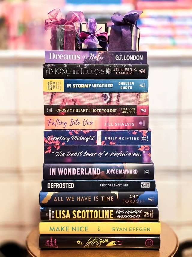 Instagram post by @booksloveandunderstanding for Atria Books. Caption reads: [...] 📕 In Stormy Weather by Chelsea Curto....