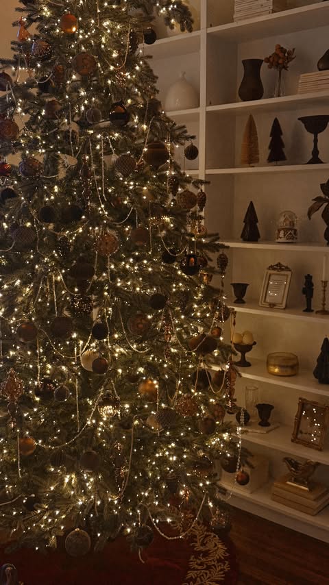 Instagram post by @taramilktea for David Jones. Caption reads: We’re about to have a very brown Christmas 🤎✨.