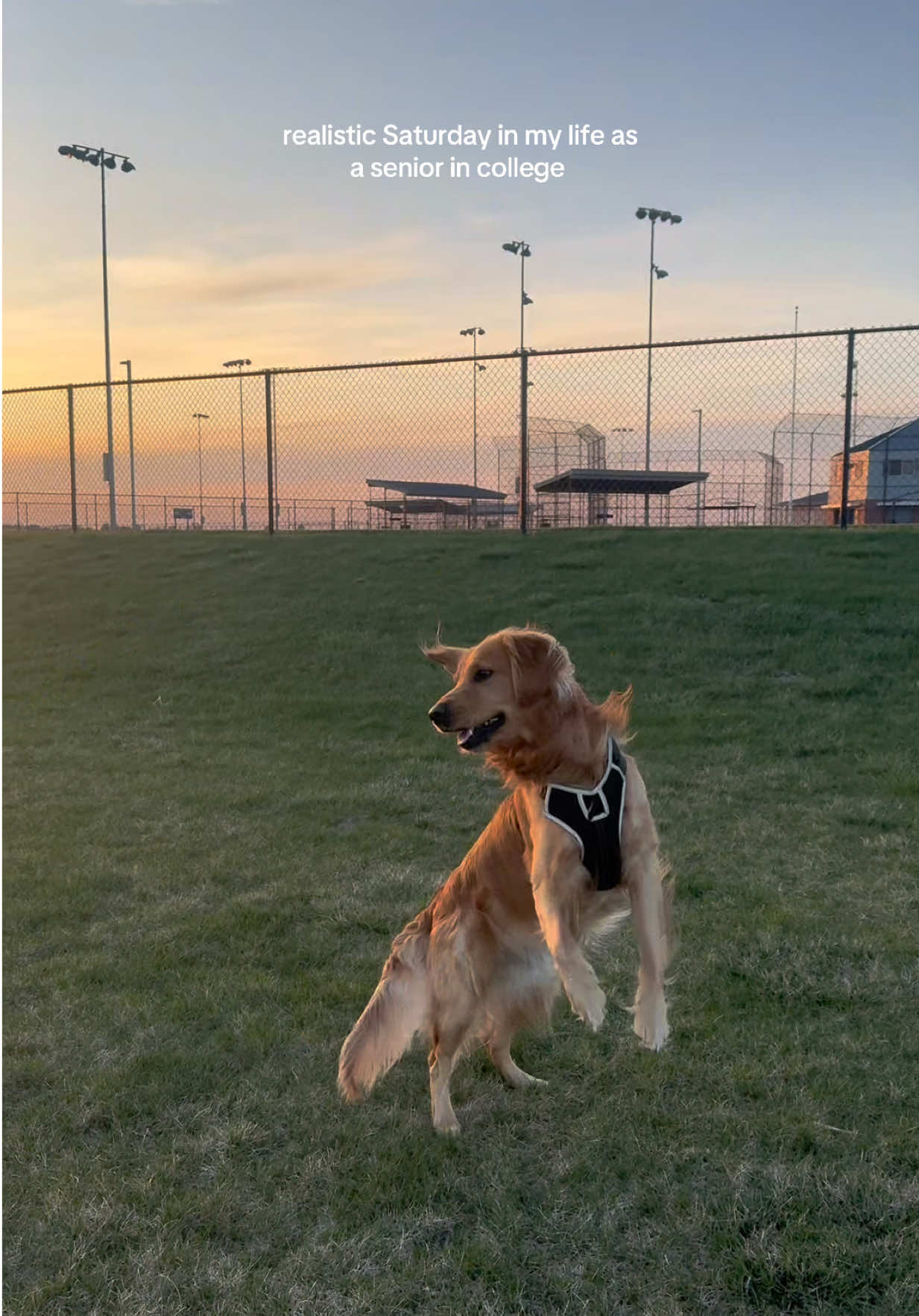 TikTok post by @peyton.koch for Brandy Melville. Caption reads: i found a couple of these unposted vids + i’m so....