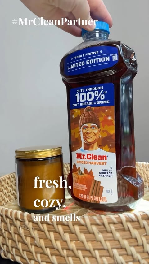 Instagram post by @dr.lyubov_tsaryk for Mr. Clean. Caption reads: #MrCleanPartner Fall cleaning just got cozier 🍂....