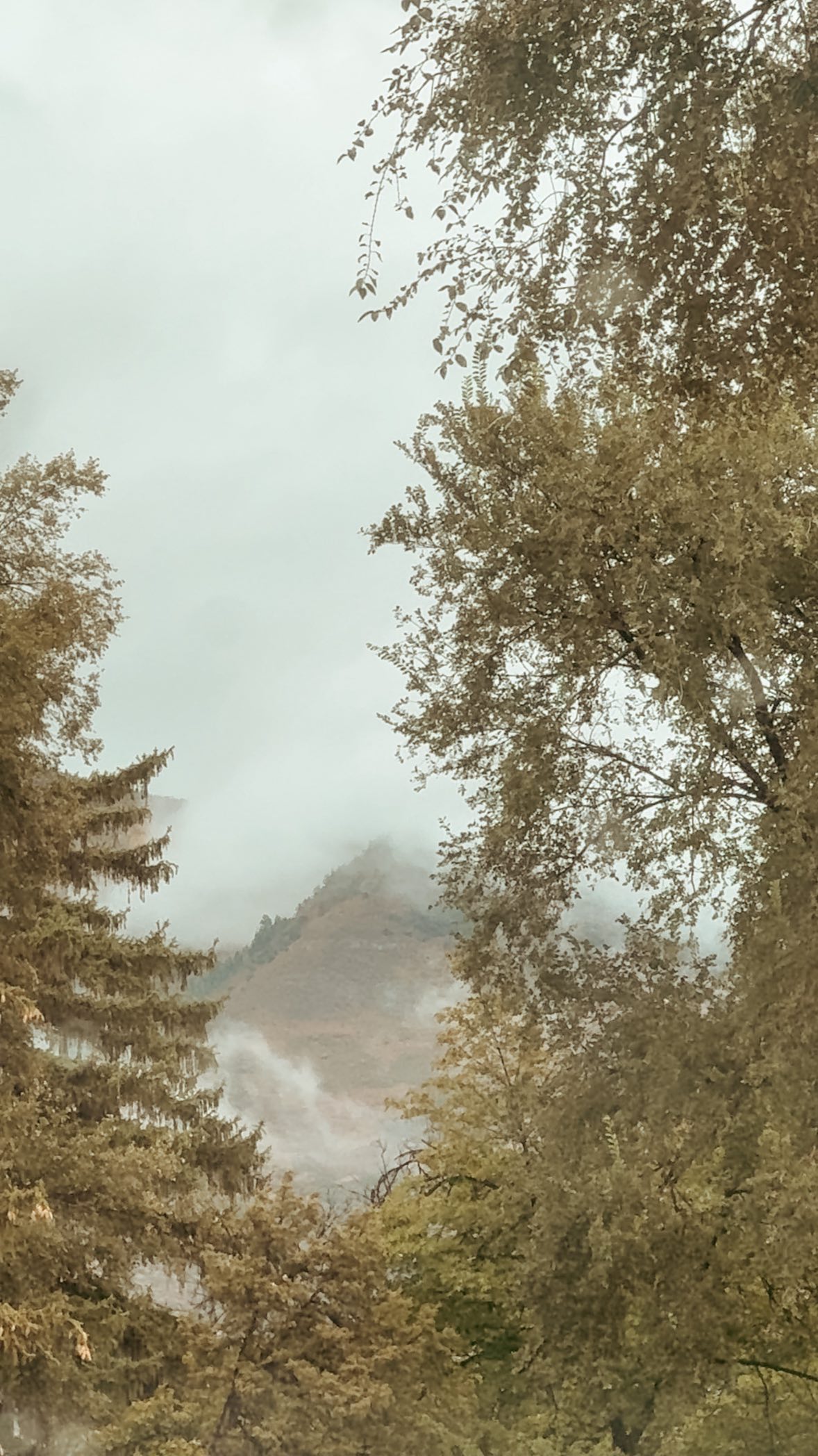 Instagram post by @abbie.ensign for Dream Pairs Shoes. Caption reads: Can’t talk right now im doing Halloween girl stuff....