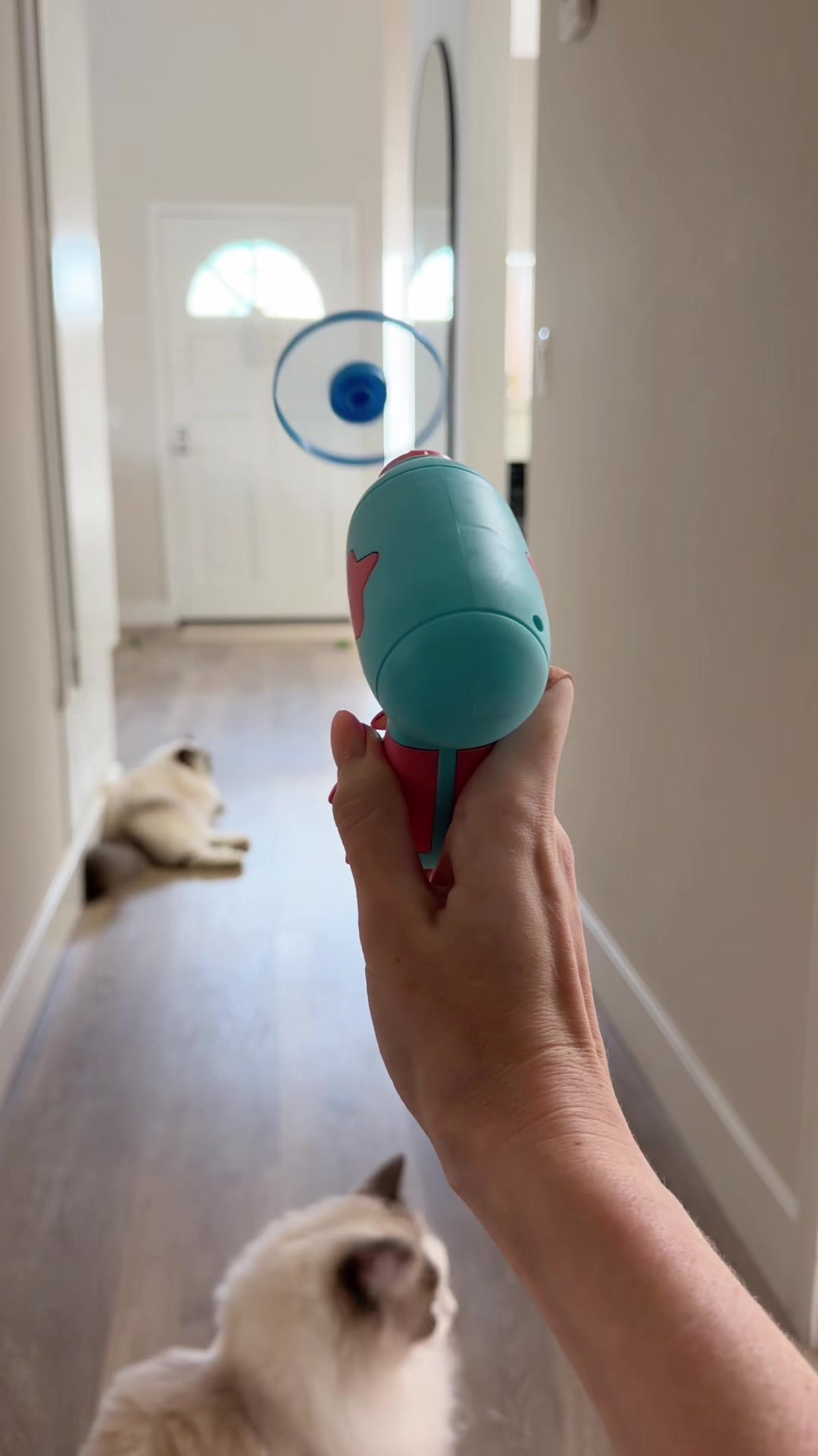 TikTok post by @pukakittycat for Larleaf. Caption reads: [...] #pettoy #cattoy #dogtoy #catenrichment....