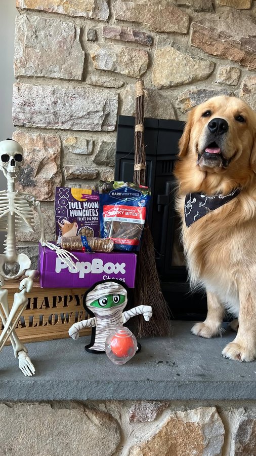 Instagram post by @murphs_golden_life for PupBox. Caption reads: Spooky Season Must Have’s with @pupbox! 🦴 🎃 💀 
....