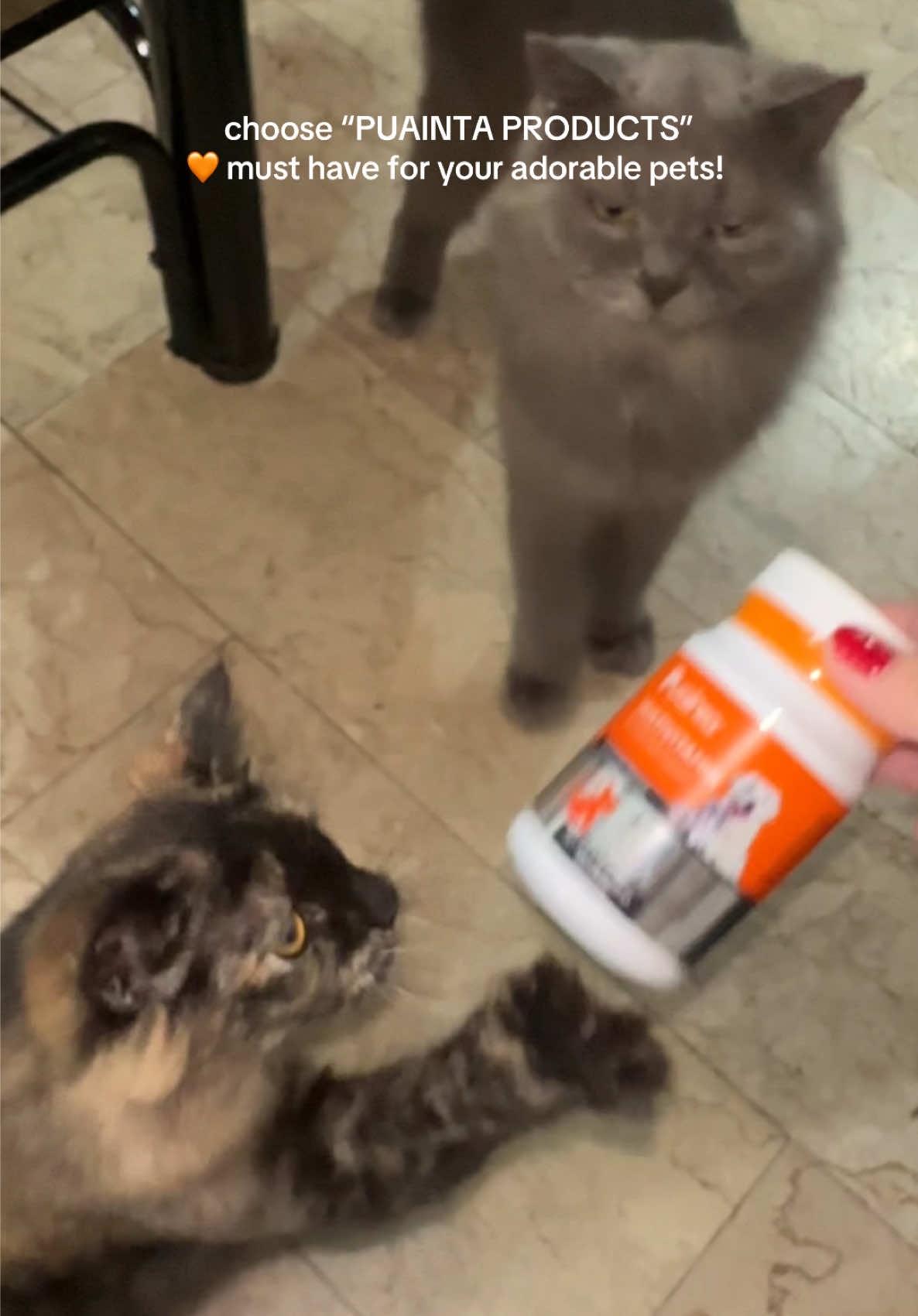 TikTok post by @asmrkaay for Puainta. Caption reads: [...] kray, korin, kimchi and toti marie. @Puainta....