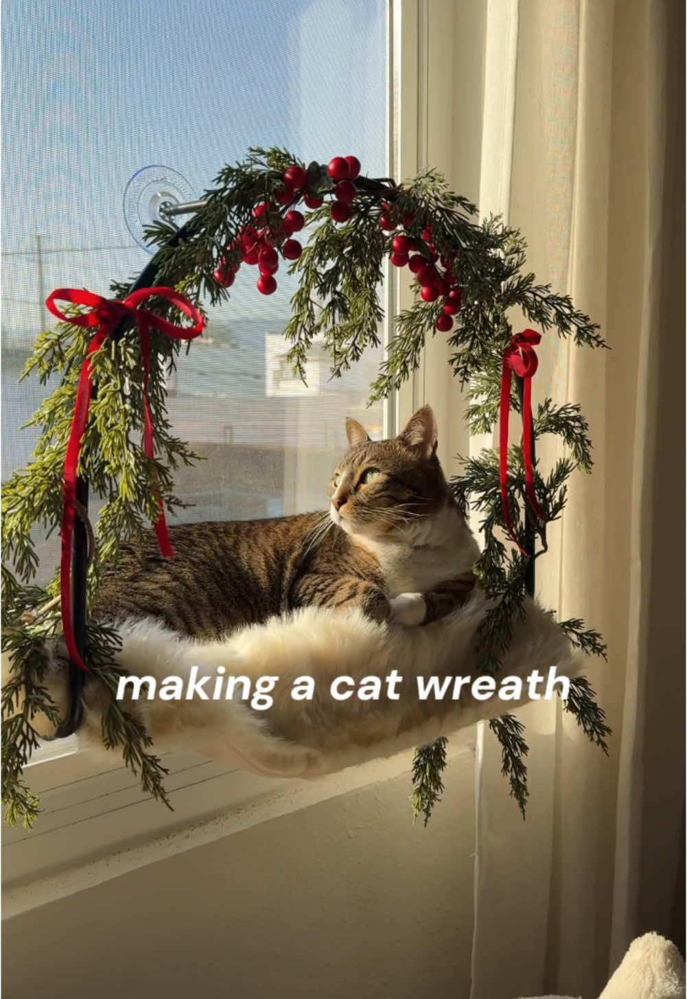 TikTok post by @kylenct for Tuftandpaw. Caption reads: Turning a window perch into a cat wreath! Hiro....