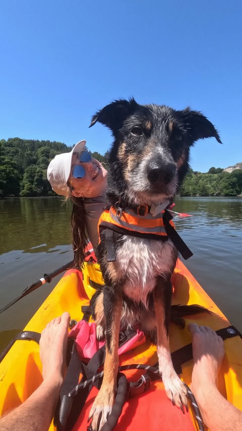 Instagram post by @nala_themainpup for Tractive. Caption reads: [...] back again. This was before we got a....