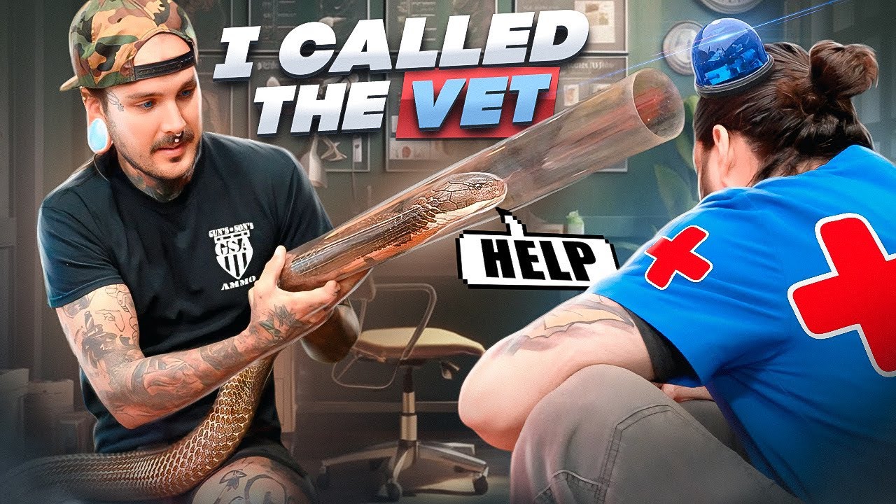 YouTube post by @TylerNolan for Magic Mind. Caption reads: KING COBRA NEEDS EMERGENCY VET VISIT!.