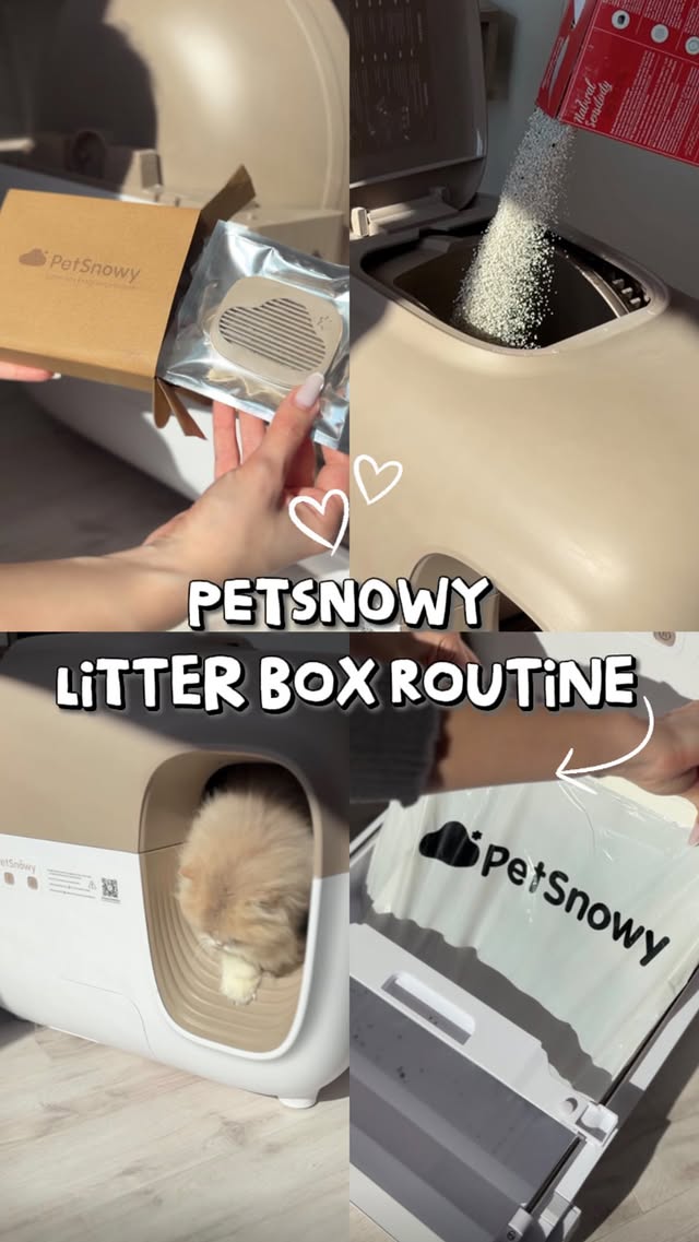 Instagram post by @ruxandra.splendors.cats for PetSnowy. Caption reads: [...] clean is actually super easy with my....