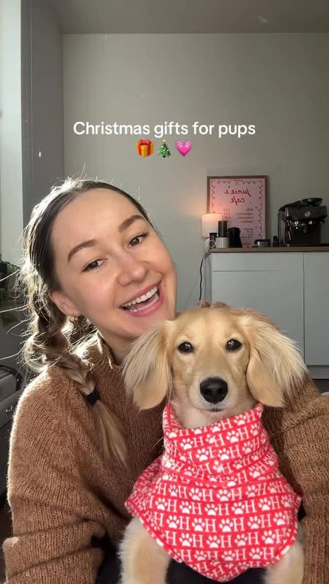 Instagram post by @junie.thewiener for Open Farm Pet. Caption reads: [...] gifting and what better gift than....