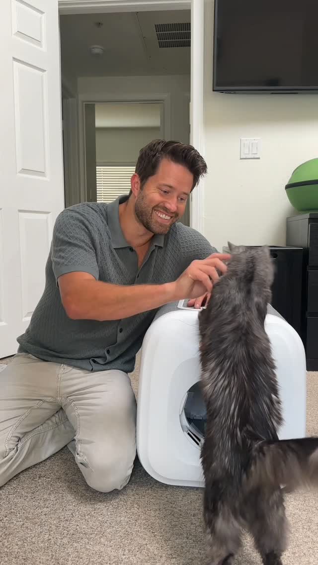 Instagram post by an influencer for PawSwing. Caption reads: Meet PawSwing Neo self-grooming cat house [...].